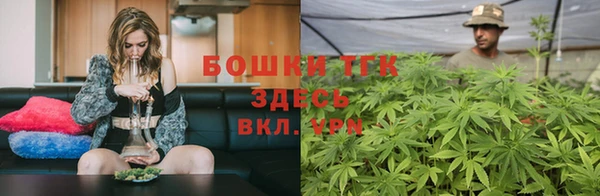 PSILOCYBIN Белоозёрский