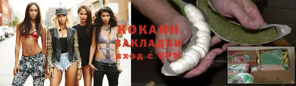 молекула духа Богородск