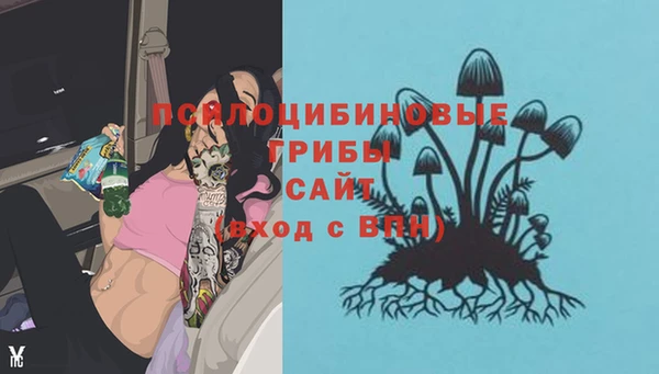 молекула духа Богородск