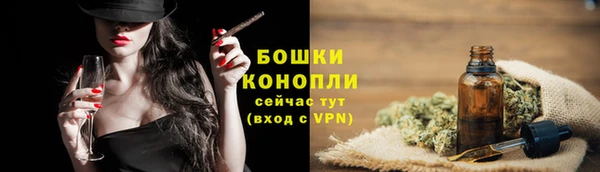 PSILOCYBIN Белоозёрский