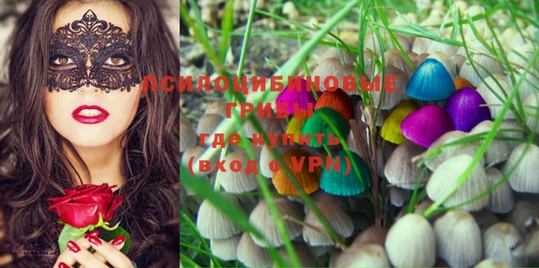 PSILOCYBIN Белоозёрский