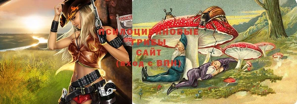 метадон Беломорск