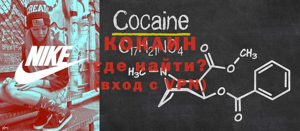 дживик Белокуриха