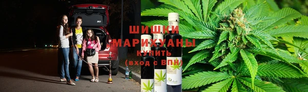 стаф Богородицк