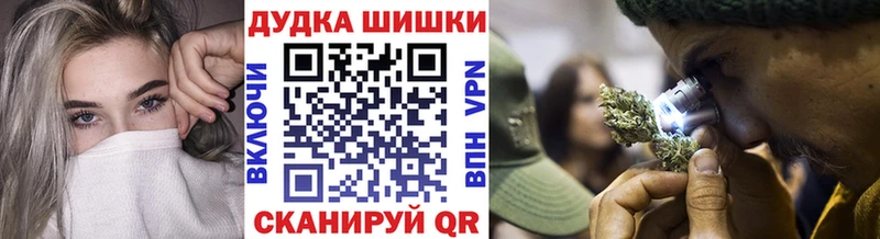 дарнет шоп Йошкар-Ола Бошки Шишки план